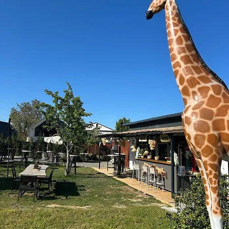 Monk Living Space Hotel