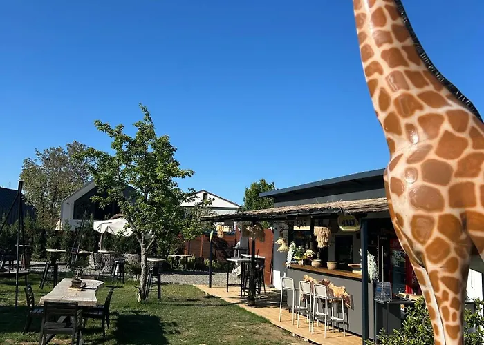 Monk Living Space 호텔